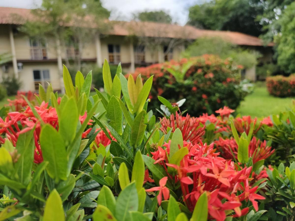 Beloalter Hotel Alter do Chao Εξωτερικό φωτογραφία